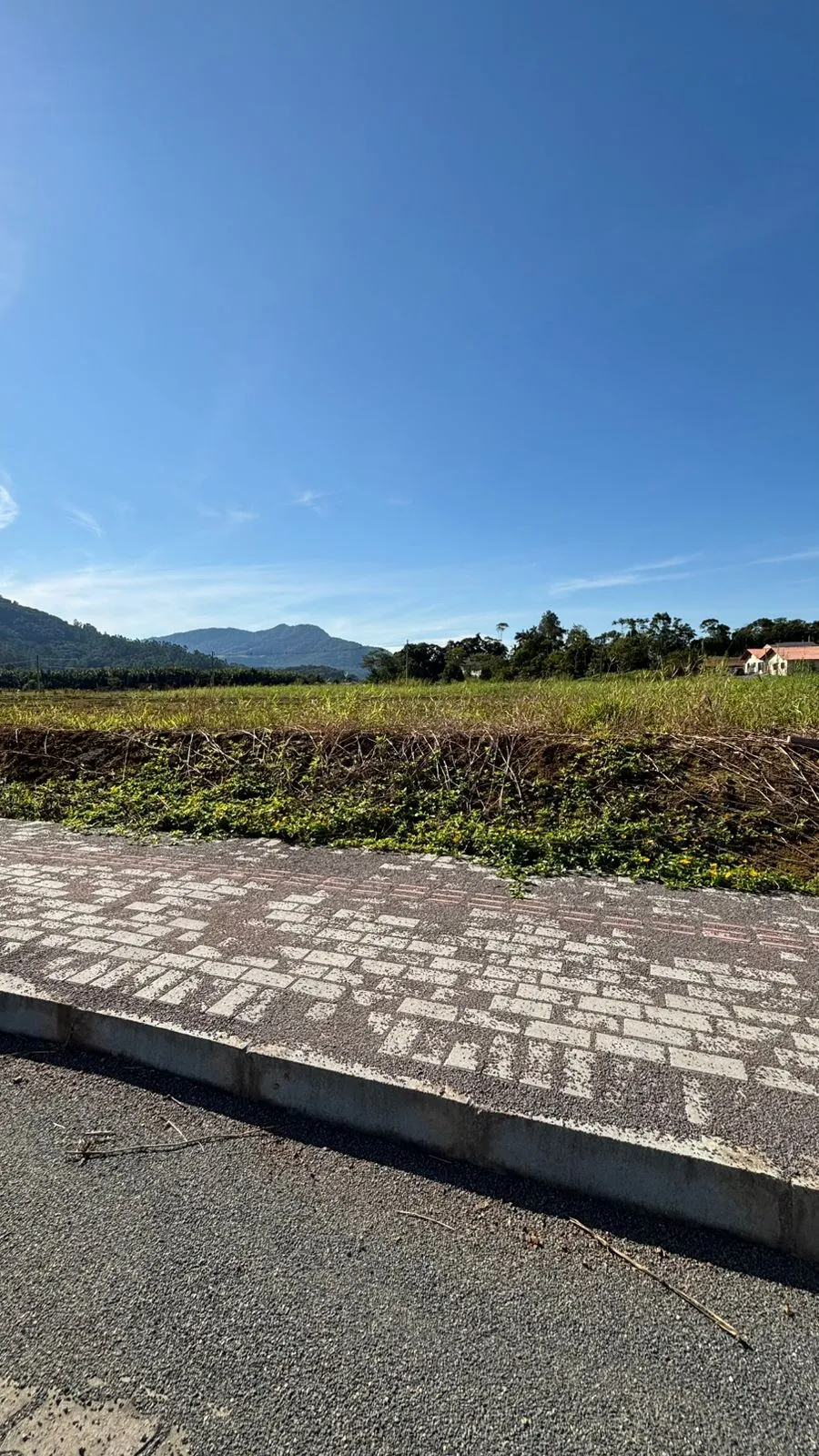 VENDO TERRENOS - foto 1