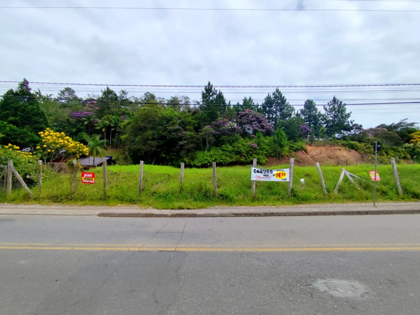 Terreno Plano Comercial/Residencial. — foto 3