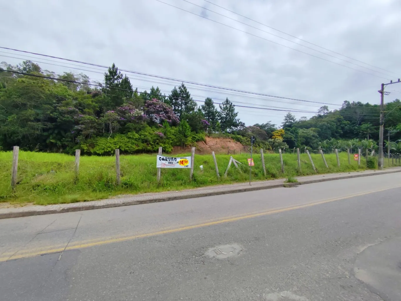 Terreno Plano Comercial/Residencial. - foto 1