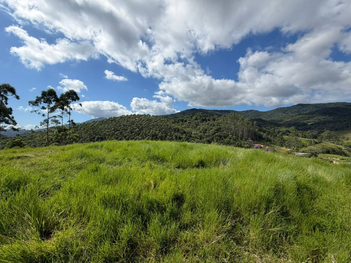 Terreno Chácara - 5.183,26m - Alto Gasparinho - foto 1