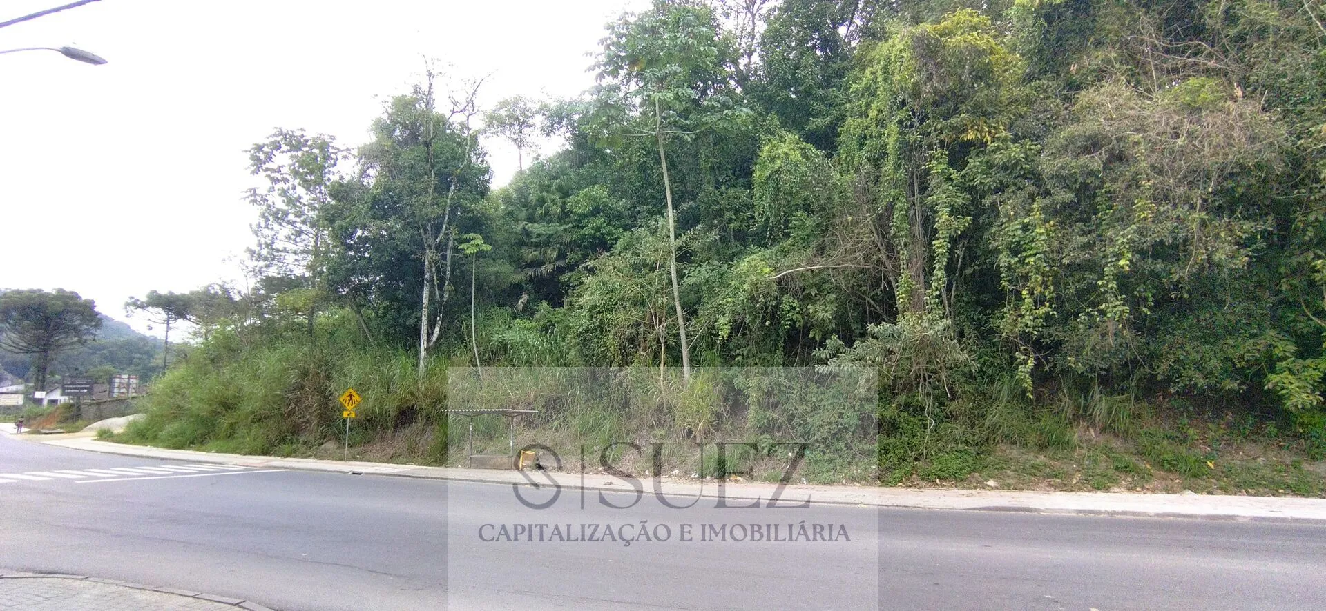 Ótimo terreno na Itoupavazinha com área de 11.851,43 m — foto 4