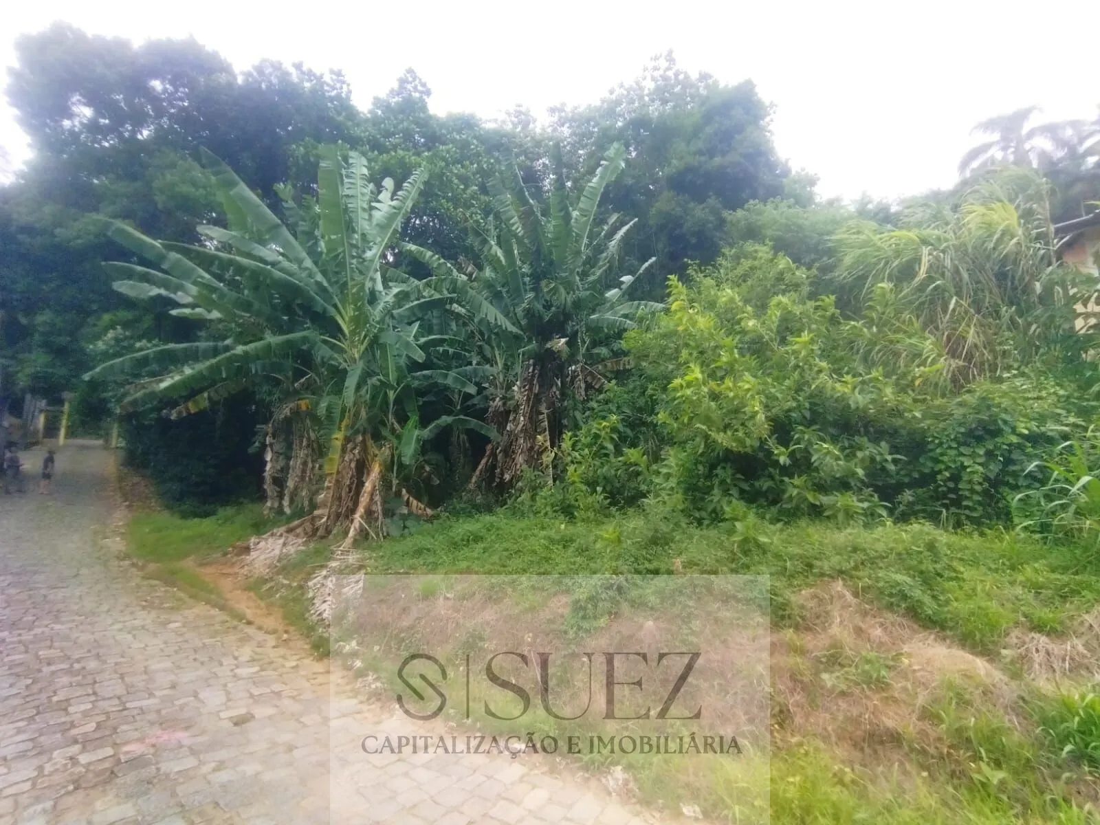 Terreno com 1.864m2 no Bairro da Velha - foto 1