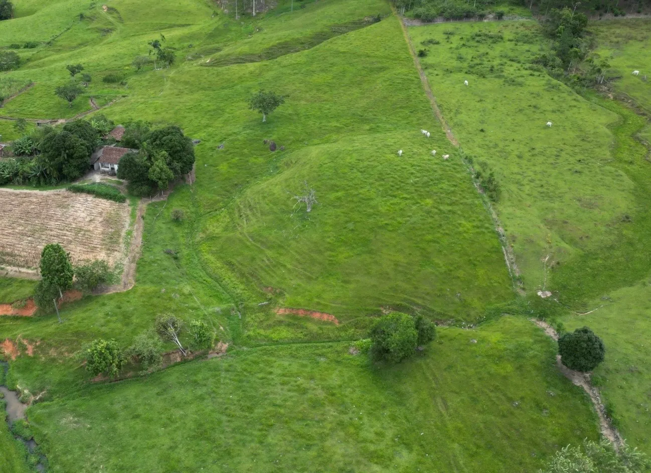 Sítio excelente oportunidade de investimento rural — foto 2