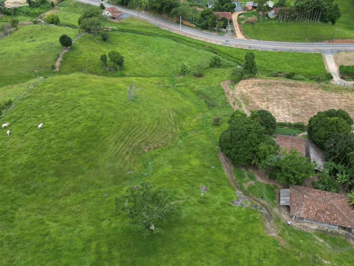 Sítio excelente oportunidade de investimento rural — foto 3