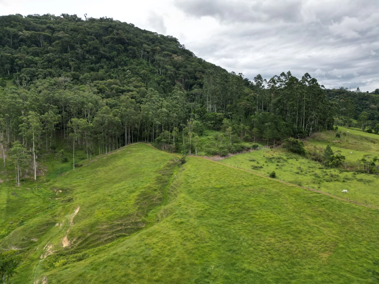 Sítio excelente oportunidade de investimento rural — foto 6