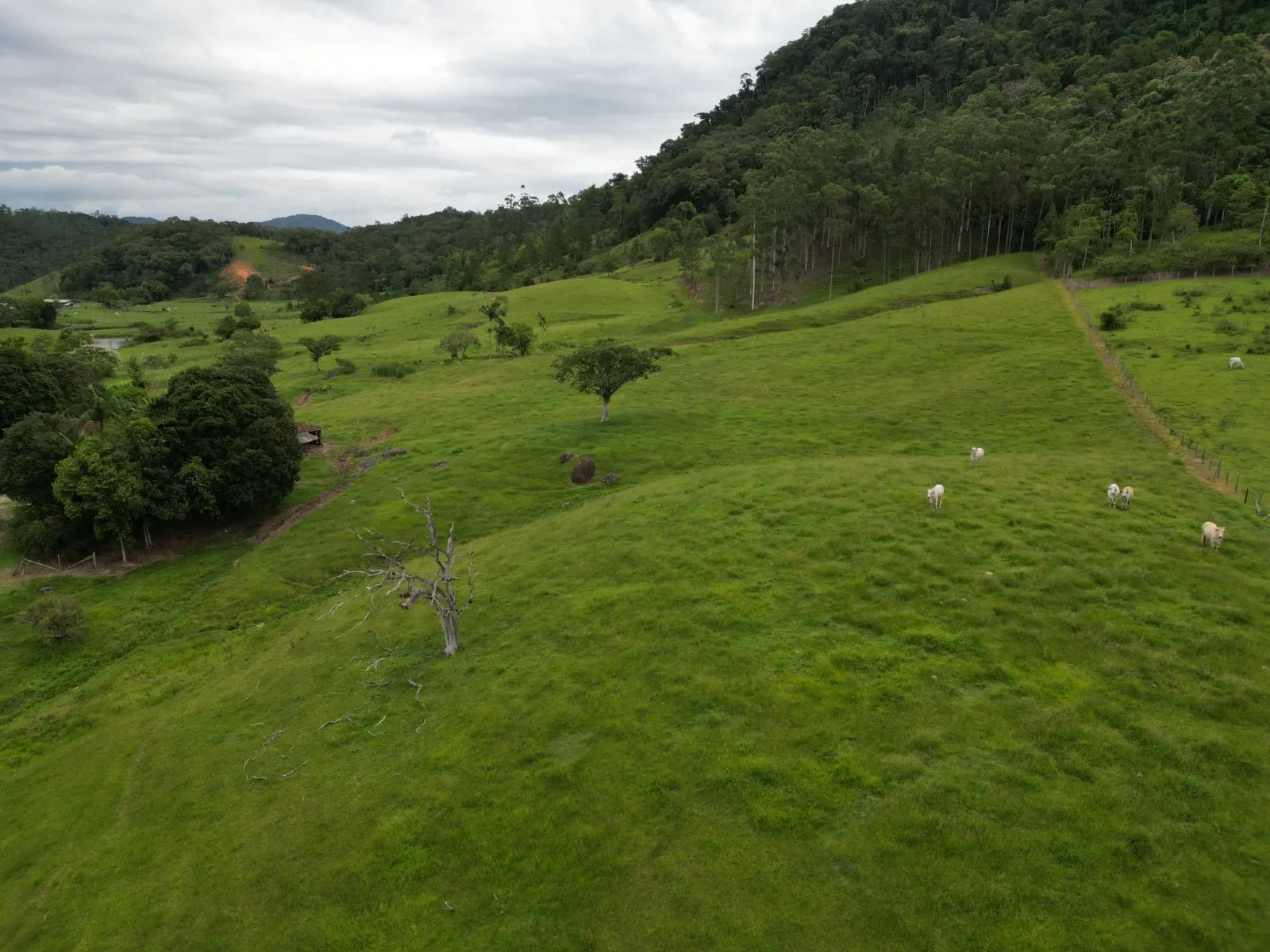 Sítio excelente oportunidade de investimento rural - foto 1