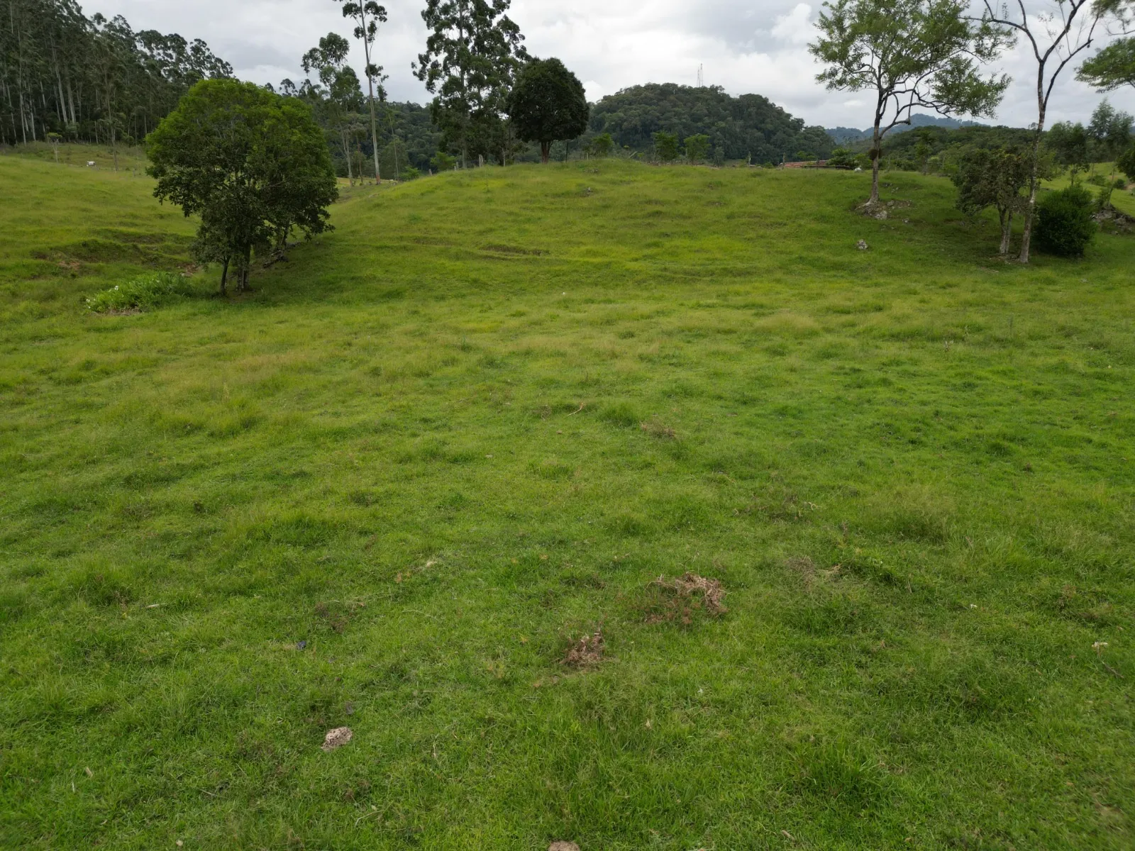 Sítio excelente oportunidade de investimento rural — foto 7