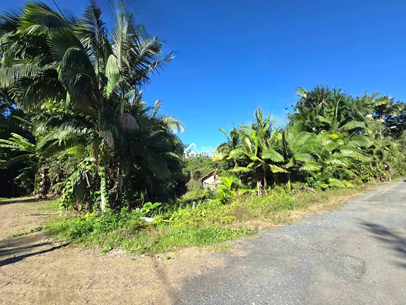 Terreno à venda no bairro FIDELIS em Blumenau/SC - foto 1