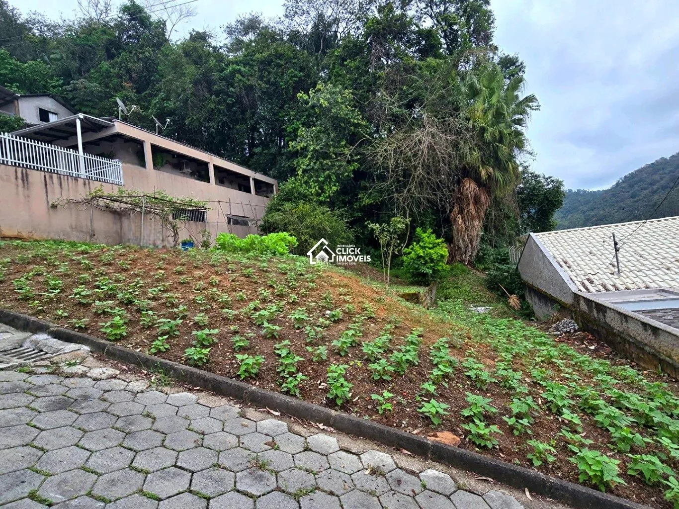 Terreno à venda no bairro Velha Central em Blumenau/SC — foto 4