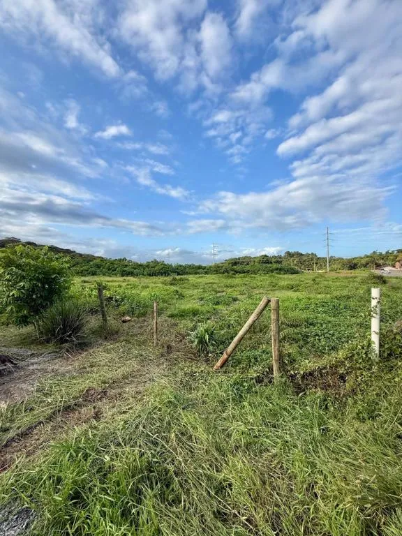 TERRENO no COSTA E SILVA com 0 quartos para VENDA, 4805 m - foto 1