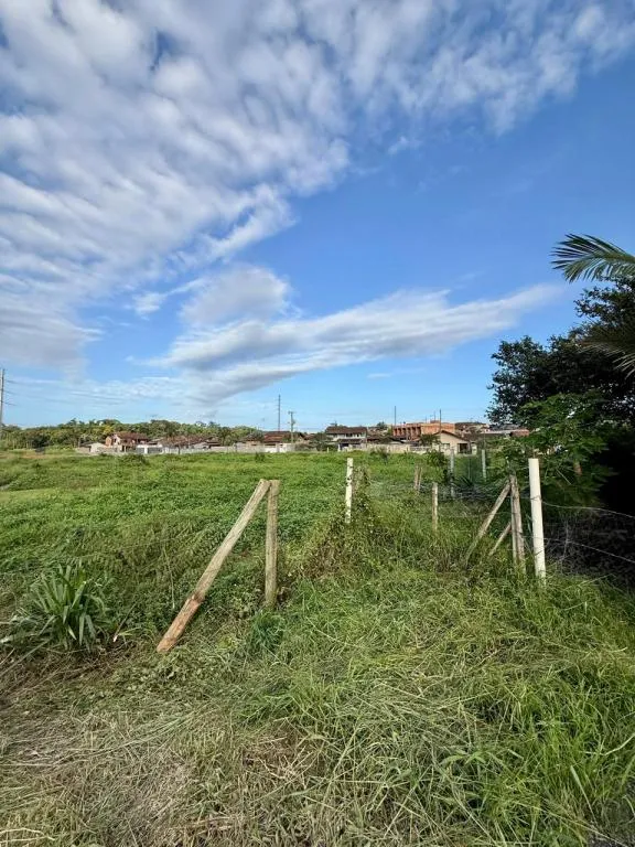 TERRENO no COSTA E SILVA com 0 quartos para VENDA, 4805 m — foto 2