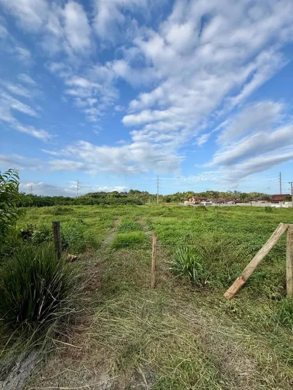 TERRENO no COSTA E SILVA com 0 quartos para VENDA, 4805 m — foto 3