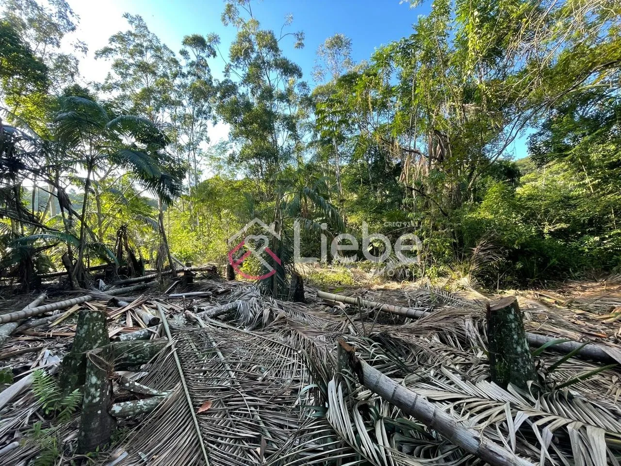 Oportunidade de Terreno no Bairro Testo Salto na cidade de Blumenau com 4.160,92m. — foto 3