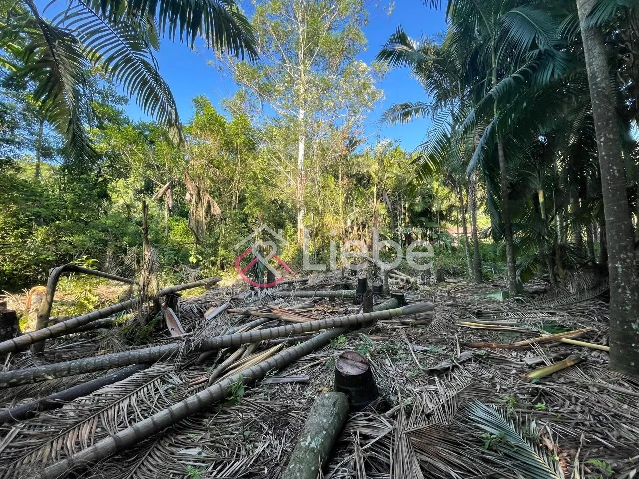 Oportunidade de Terreno no Bairro Testo Salto na cidade de Blumenau com 4.160,92m. — foto 4