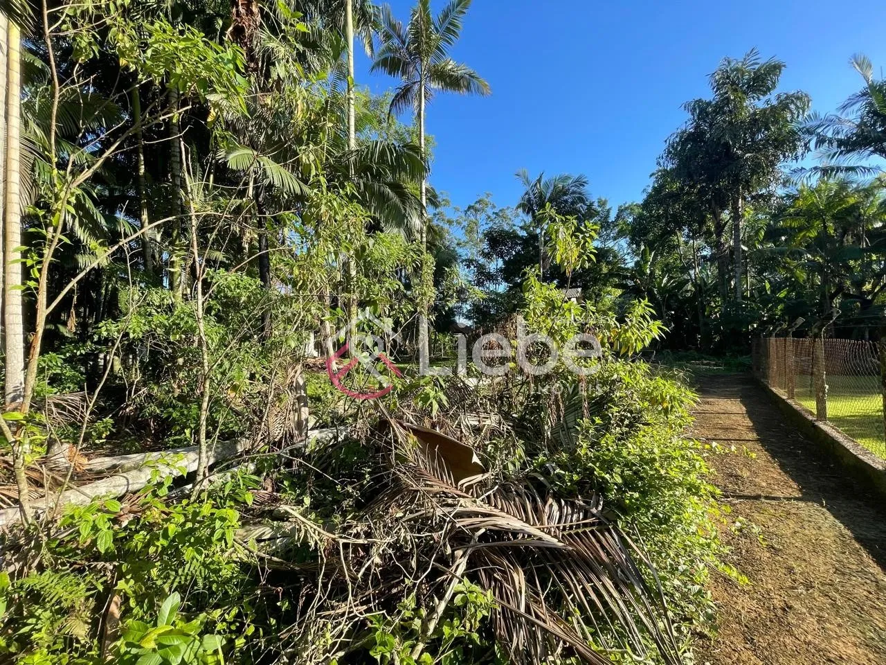 Oportunidade de Terreno no Bairro Testo Salto na cidade de Blumenau com 4.160,92m. — foto 7
