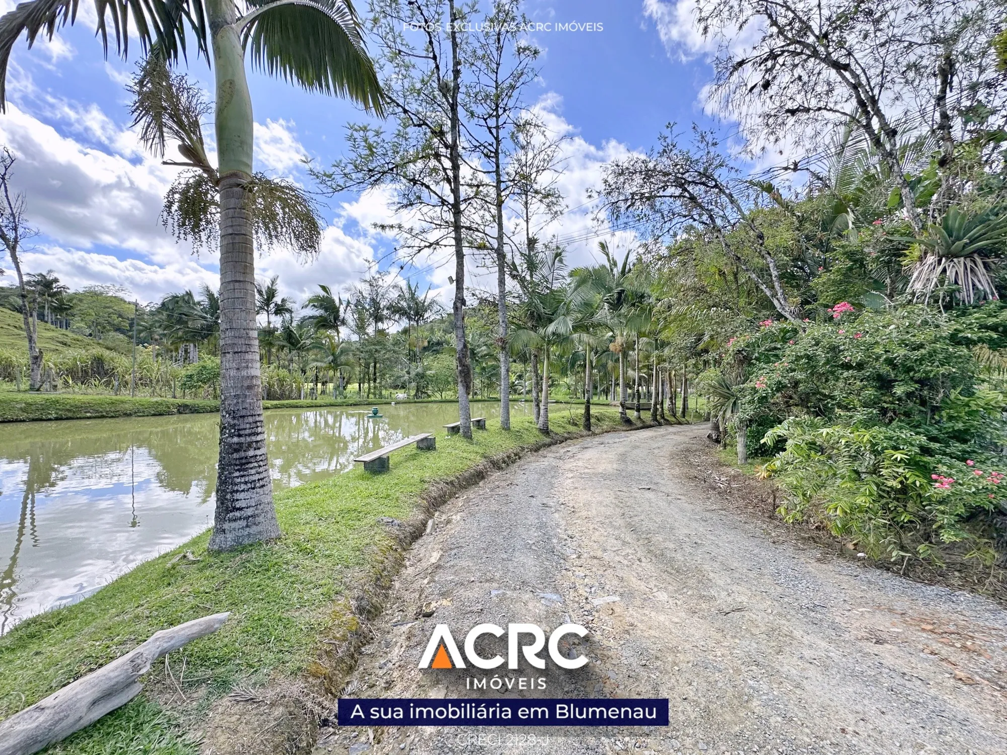 Imóvel Rural à venda com 2 quartos, 144000m² na região do bairro Vila Itoupava, próximo à Rua Otto Manzke, Blumenau — foto 4