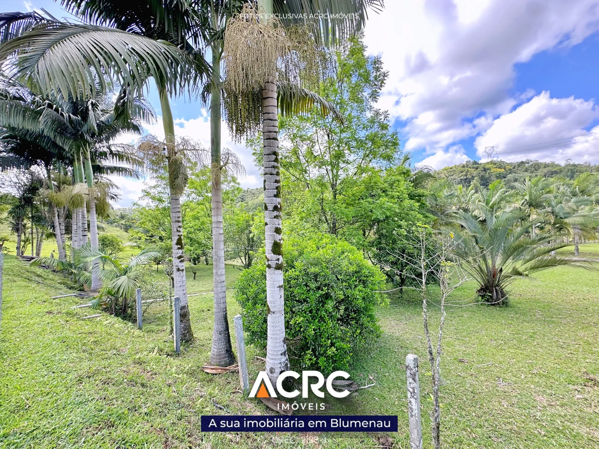 Imóvel Rural à venda com 2 quartos, 144000m² na região do bairro Vila Itoupava, próximo à Rua Otto Manzke, Blumenau — foto 7