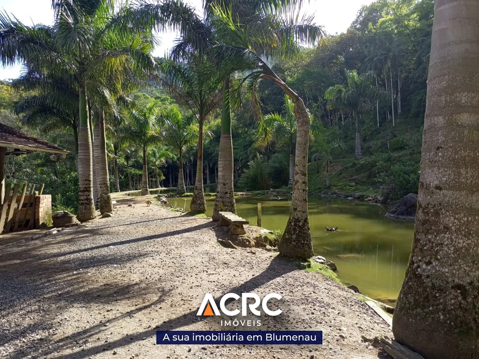 ACRC Imóveis - ST00082 - Sítio para Venda em Timbó no Bairro Dona Clara - foto 1