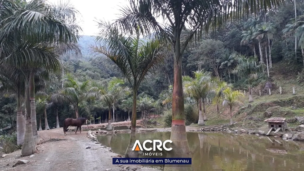 ACRC Imóveis - ST00082 - Sítio para Venda em Timbó no Bairro Dona Clara — foto 2