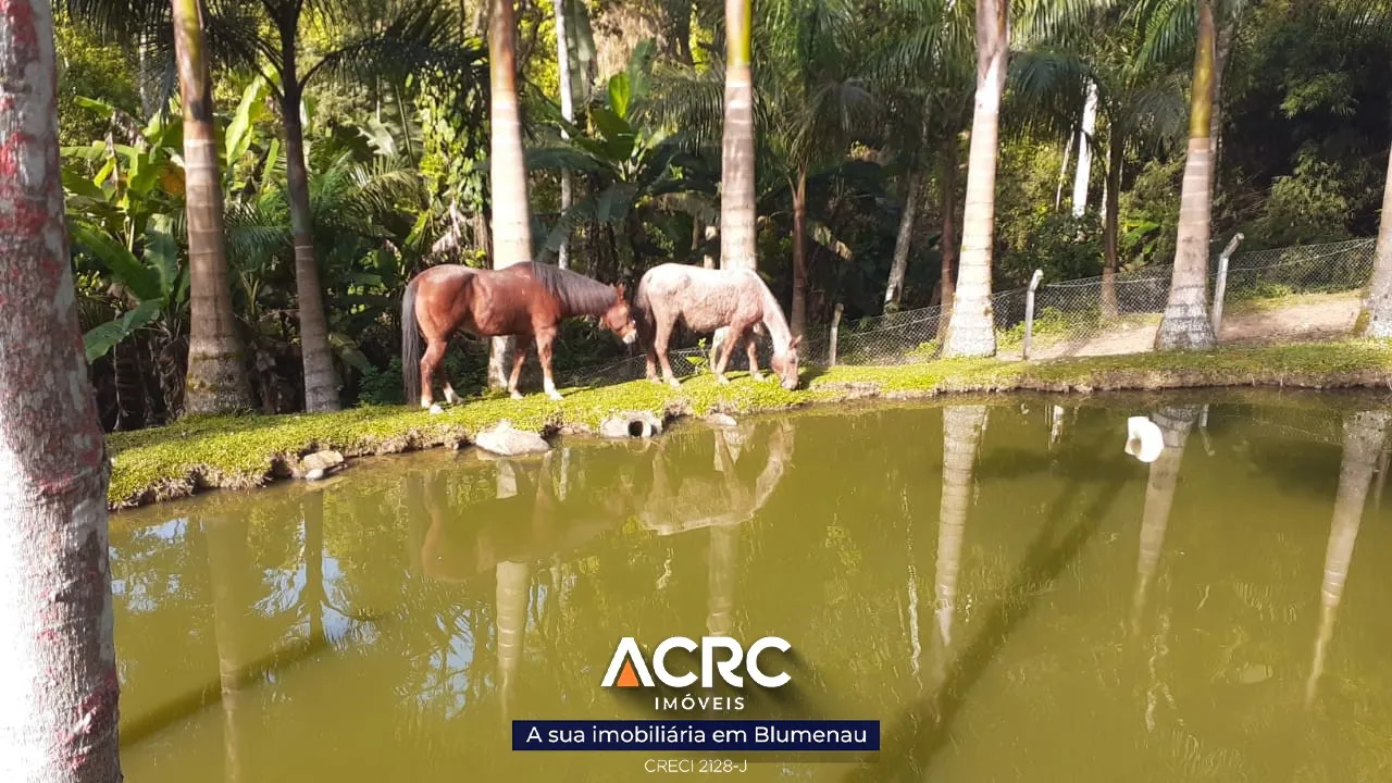 ACRC Imóveis - ST00082 - Sítio para Venda em Timbó no Bairro Dona Clara — foto 3