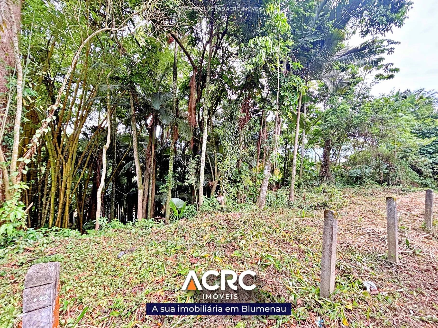 ACRC Imóveis - Terreno para Venda em Blumenau no Bairro Boa Vista. — foto 5