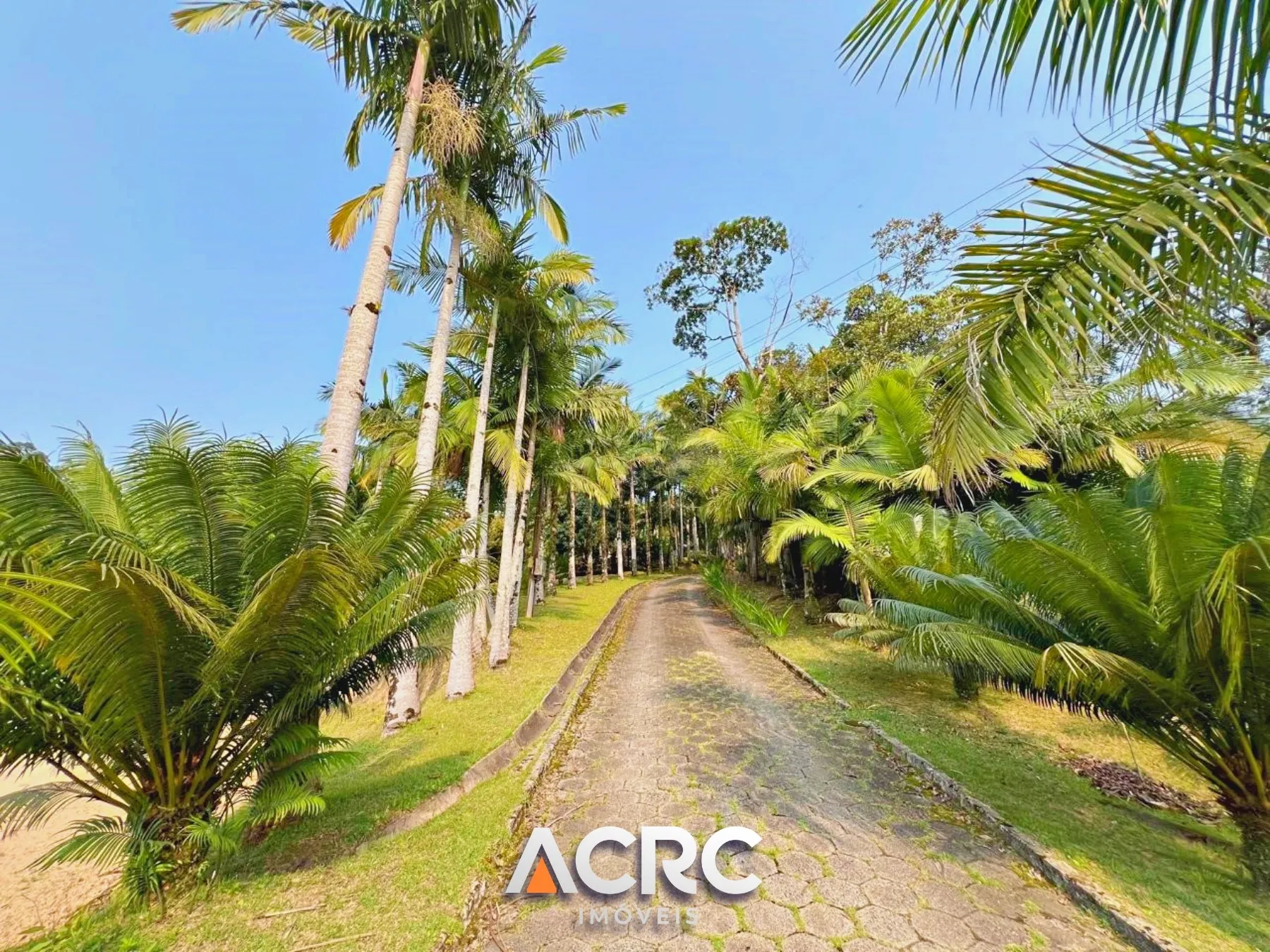ACRC Imóveis - Sítio para Venda em Gaspar no Bairro Gasparinho — foto 3