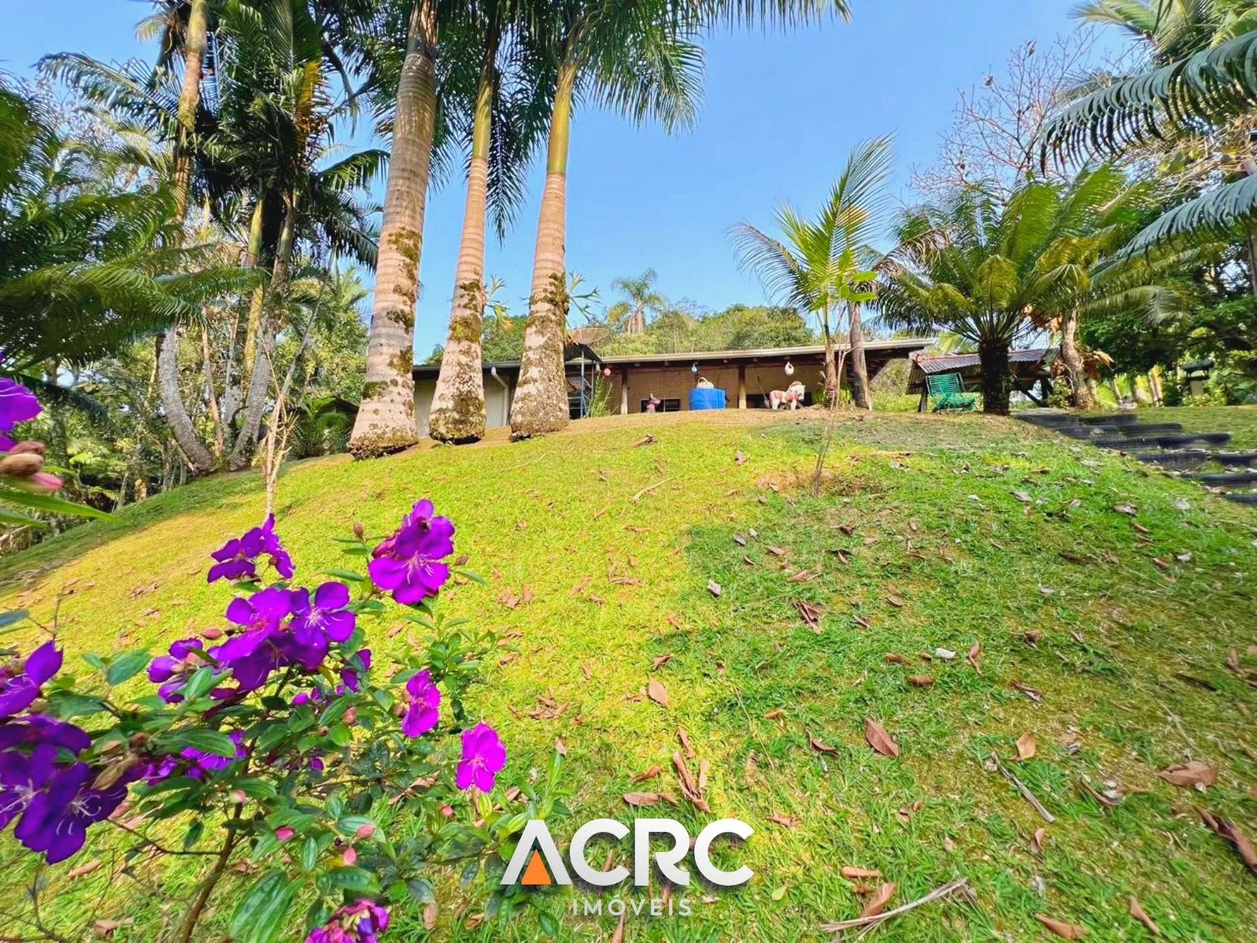 ACRC Imóveis - Sítio para Venda em Gaspar no Bairro Gasparinho — foto 5