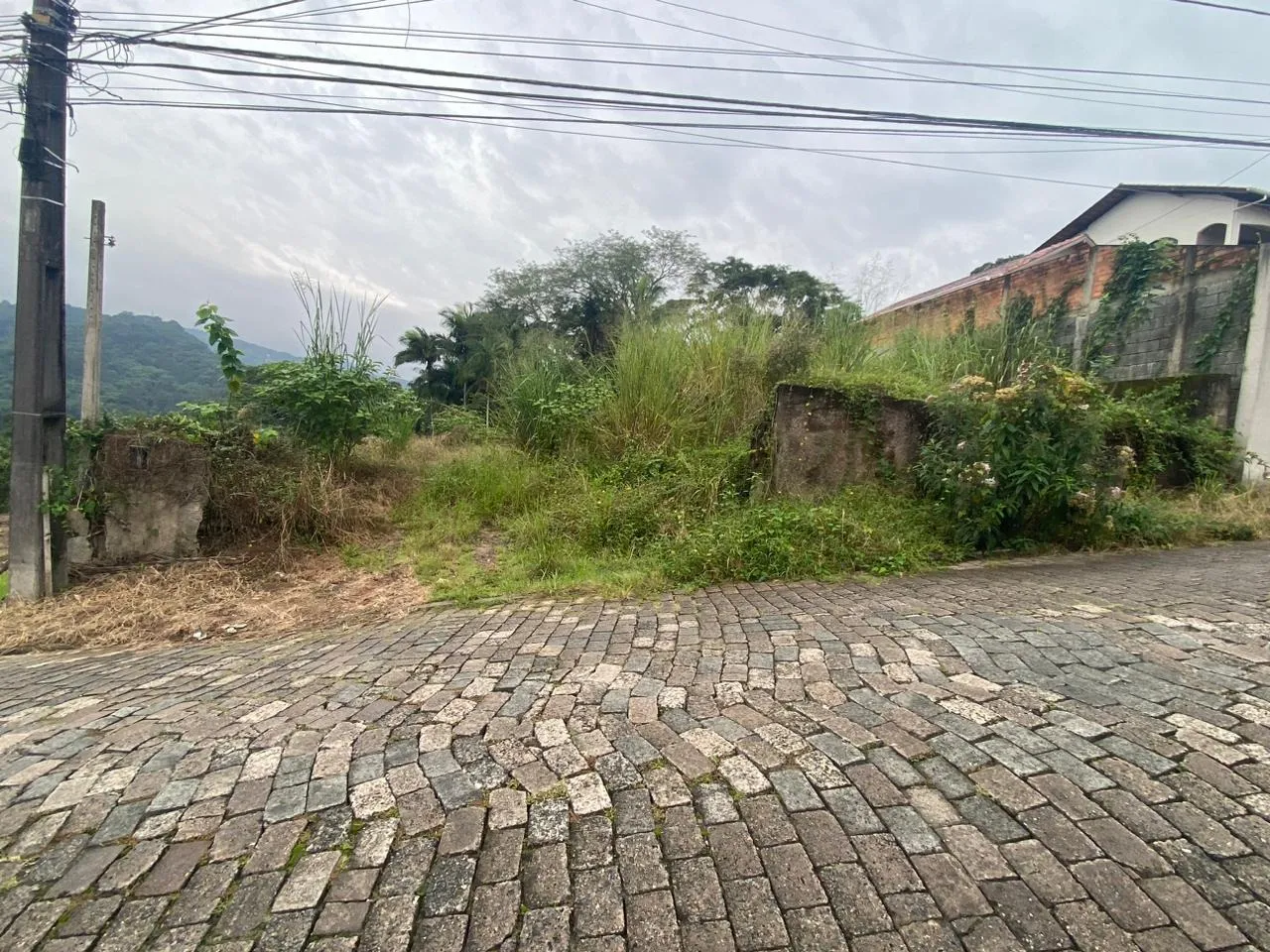 TERRENO RESIDENCIAL em BLUMENAU - SC, Garcia - foto 1