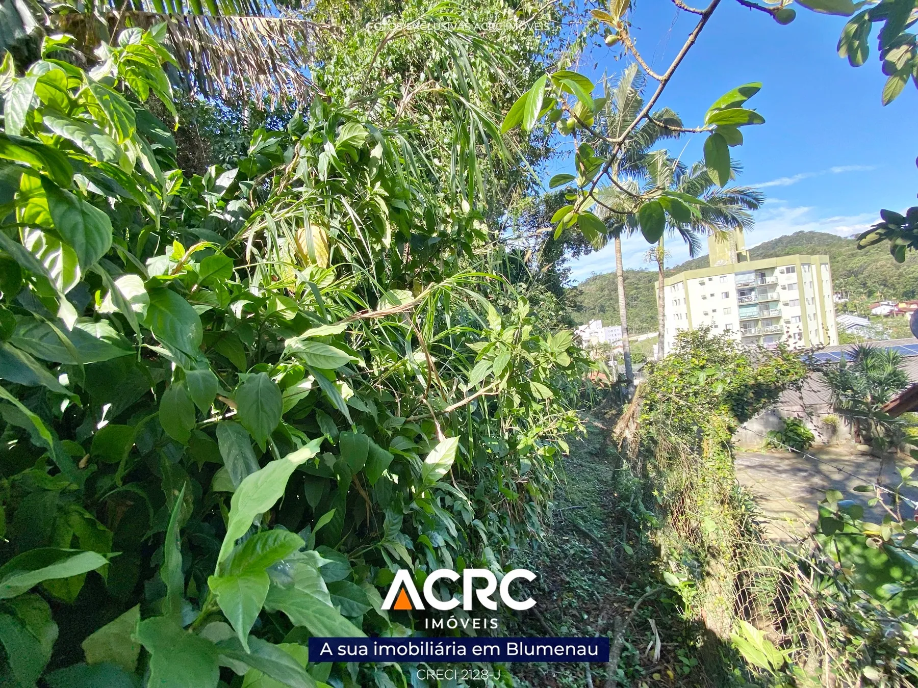 Terreno para venda no bairro Fortaleza | ACRC Imóveis — foto 7