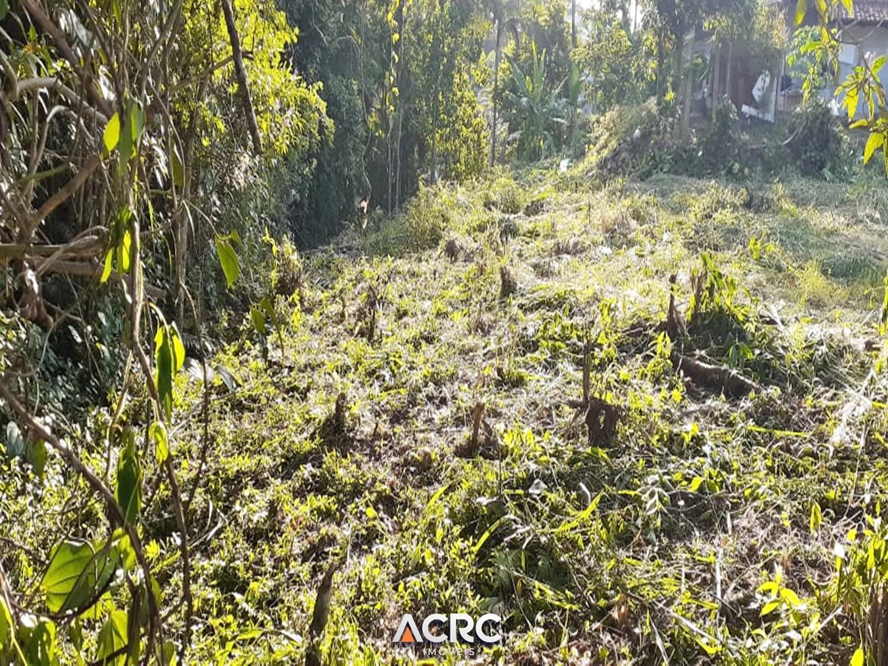 Terreno para venda no bairro Salto do Norte | ACRC Imóveis — foto 6