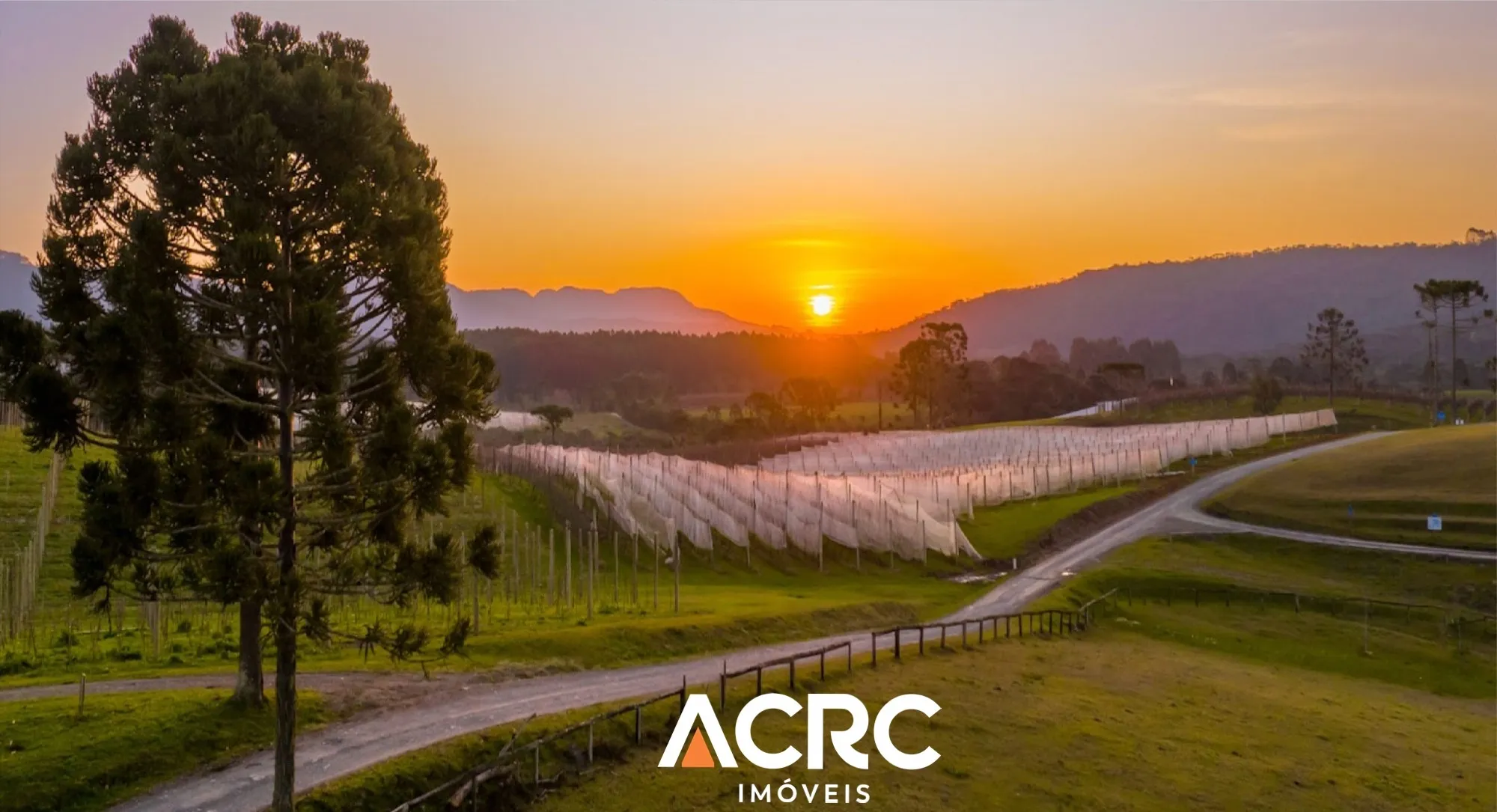 Lotes em condomínio fechado l Complexo enogastronômico na Serra Catarinense l ACRC Imóveis - foto 1