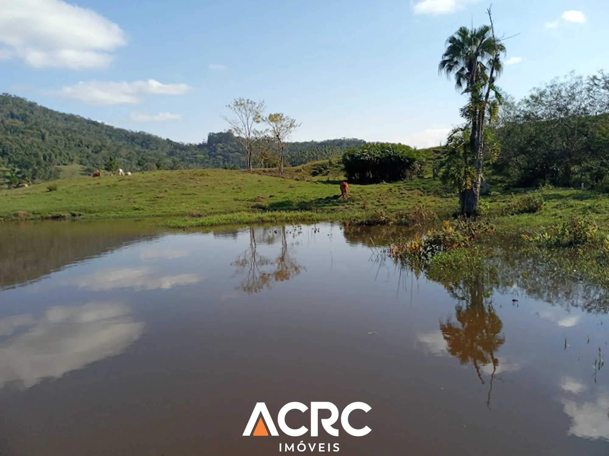 ACRC IMÓVEIS - Amplo Terreno (Área Rural) à Venda no Bairro Encano em Indaial — foto 5