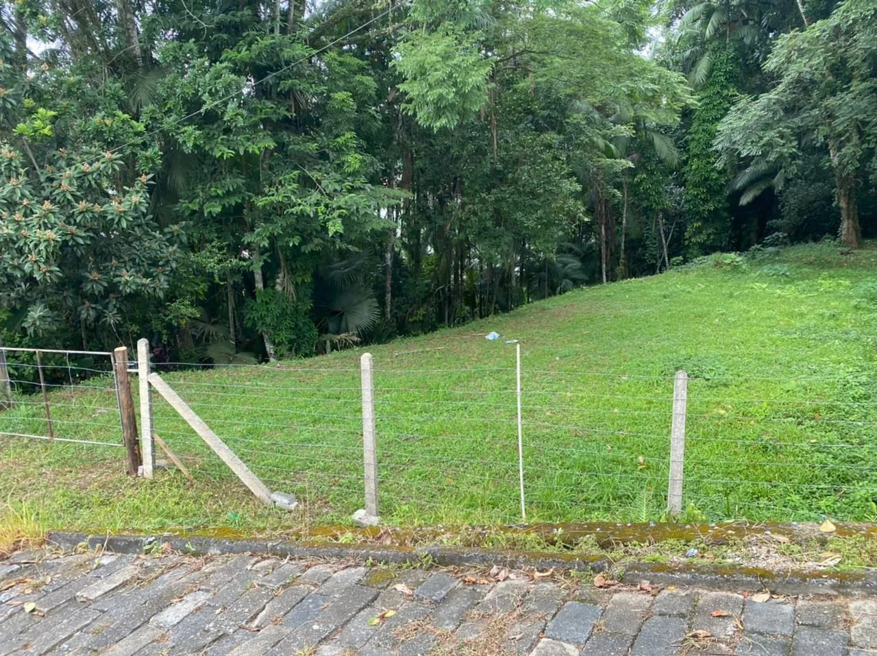 ACRC Imóveis - Terreno para venda em Blumenau no bairro Bela Vista — foto 4