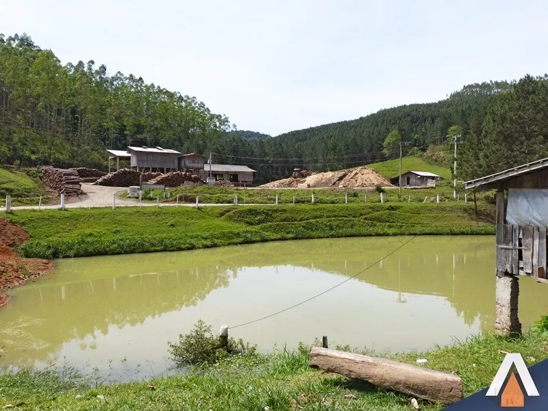 ACRC Imóveis - Fazenda à venda no bairro SERRINHA - foto 1