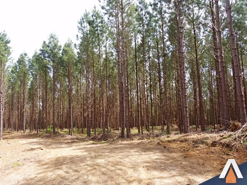 ACRC Imóveis - Fazenda à venda no bairro SERRINHA — foto 3