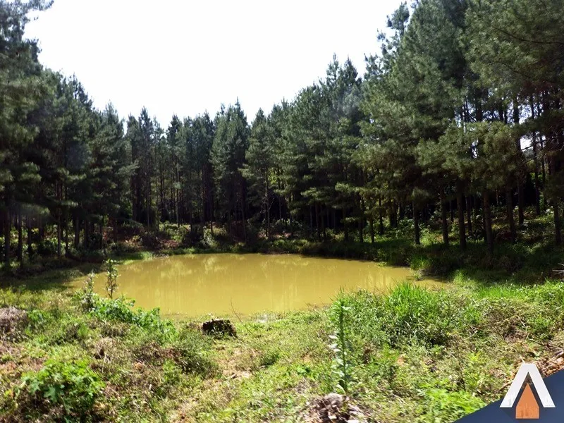 ACRC Imóveis - Fazenda à venda no bairro SERRINHA — foto 5