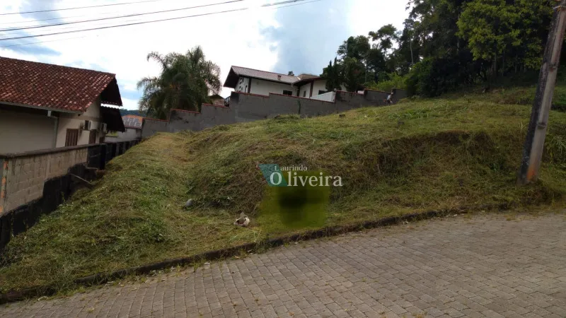 Terreno à venda no bairro Escola Agrícola em Blumenau/SC - foto 1