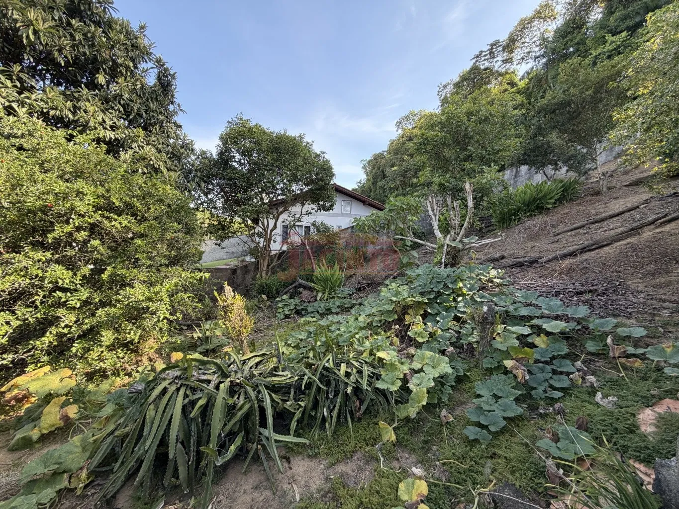 Lote Residencial na Rua Polônia, Bairro Fortaleza, Blumenau — foto 4