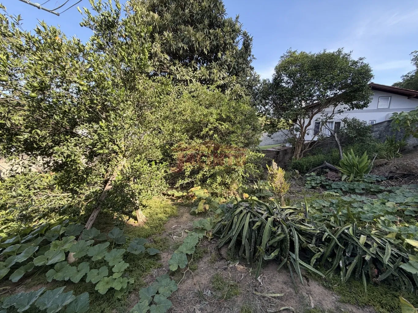 Lote Residencial na Rua Polônia, Bairro Fortaleza, Blumenau — foto 5