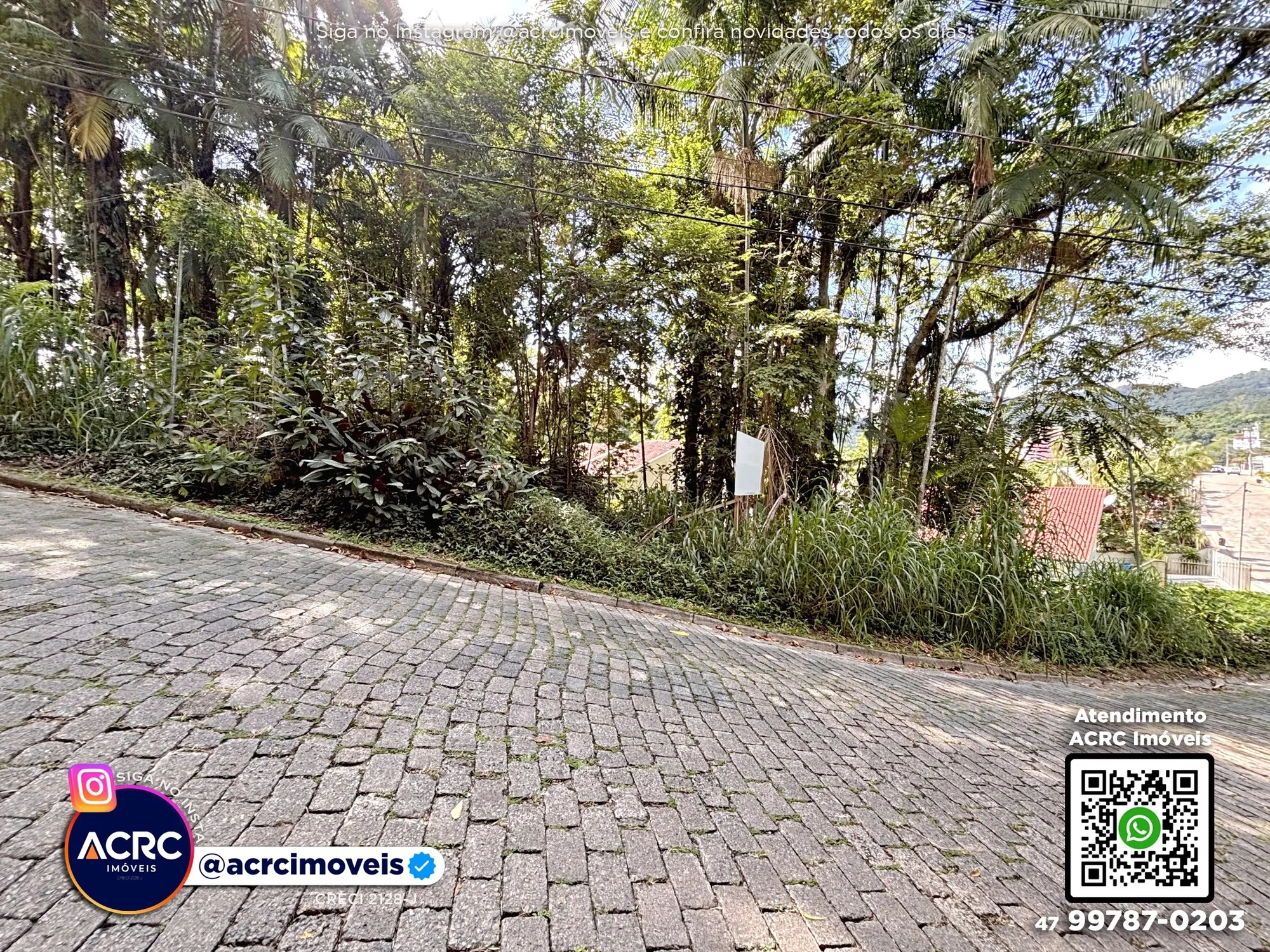 ACRC Imóveis - TE01348 - Terreno com um total de 438,02m a Venda no Bairro Velha em Blumenau — foto 4