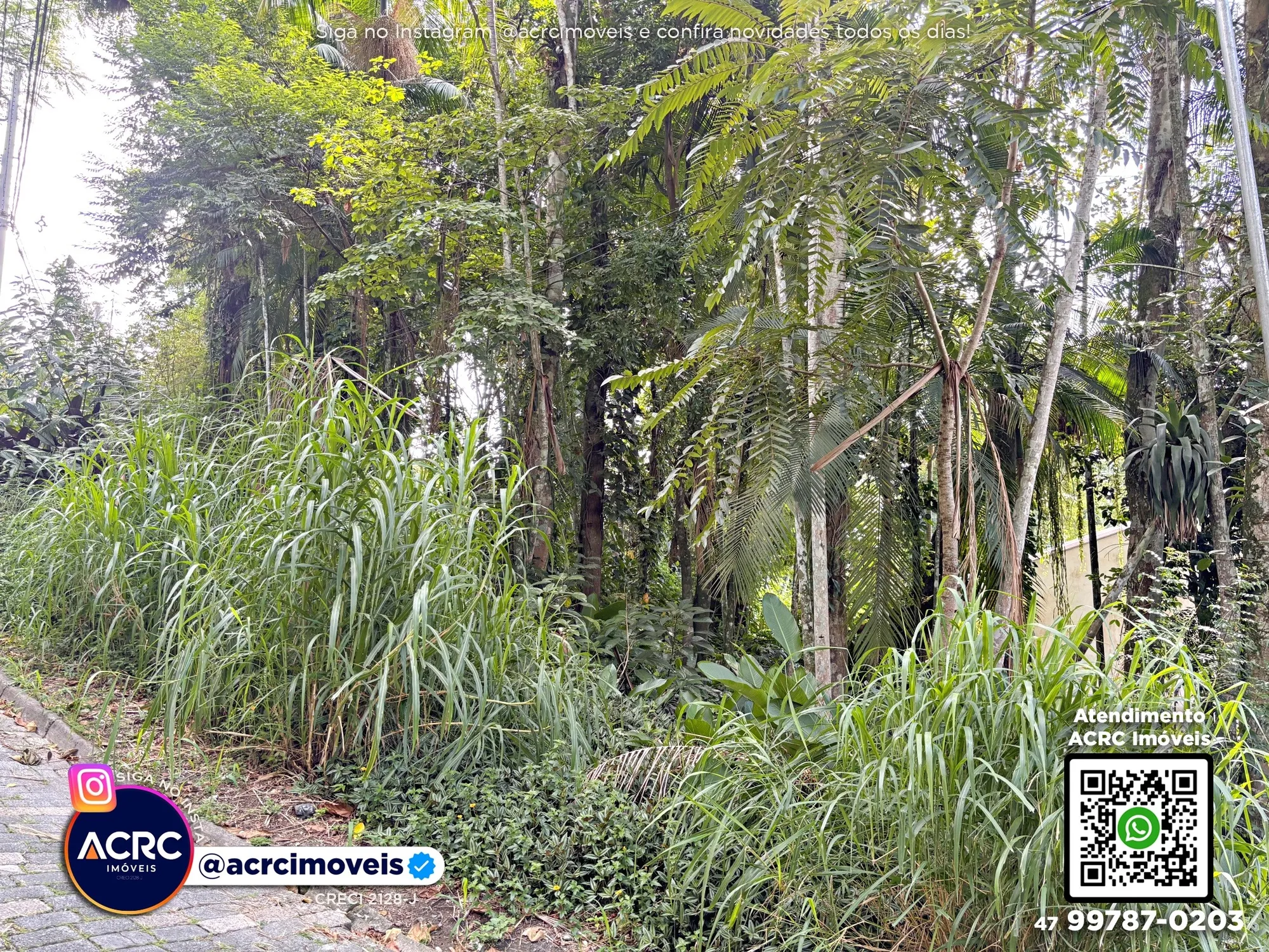 ACRC Imóveis - TE01348 - Terreno com um total de 438,02m a Venda no Bairro Velha em Blumenau — foto 5