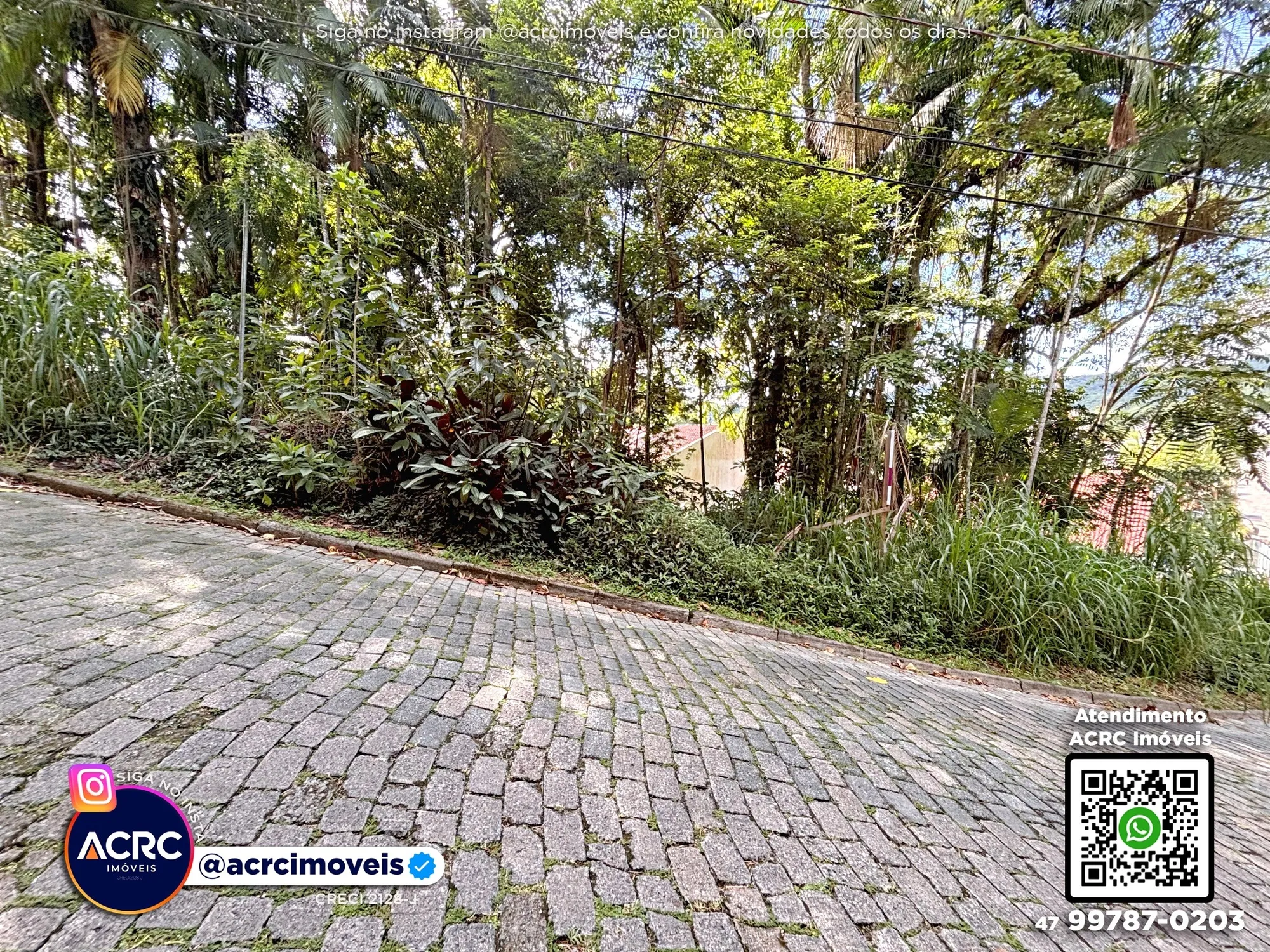 ACRC Imóveis - TE01348 - Terreno com um total de 438,02m a Venda no Bairro Velha em Blumenau — foto 6