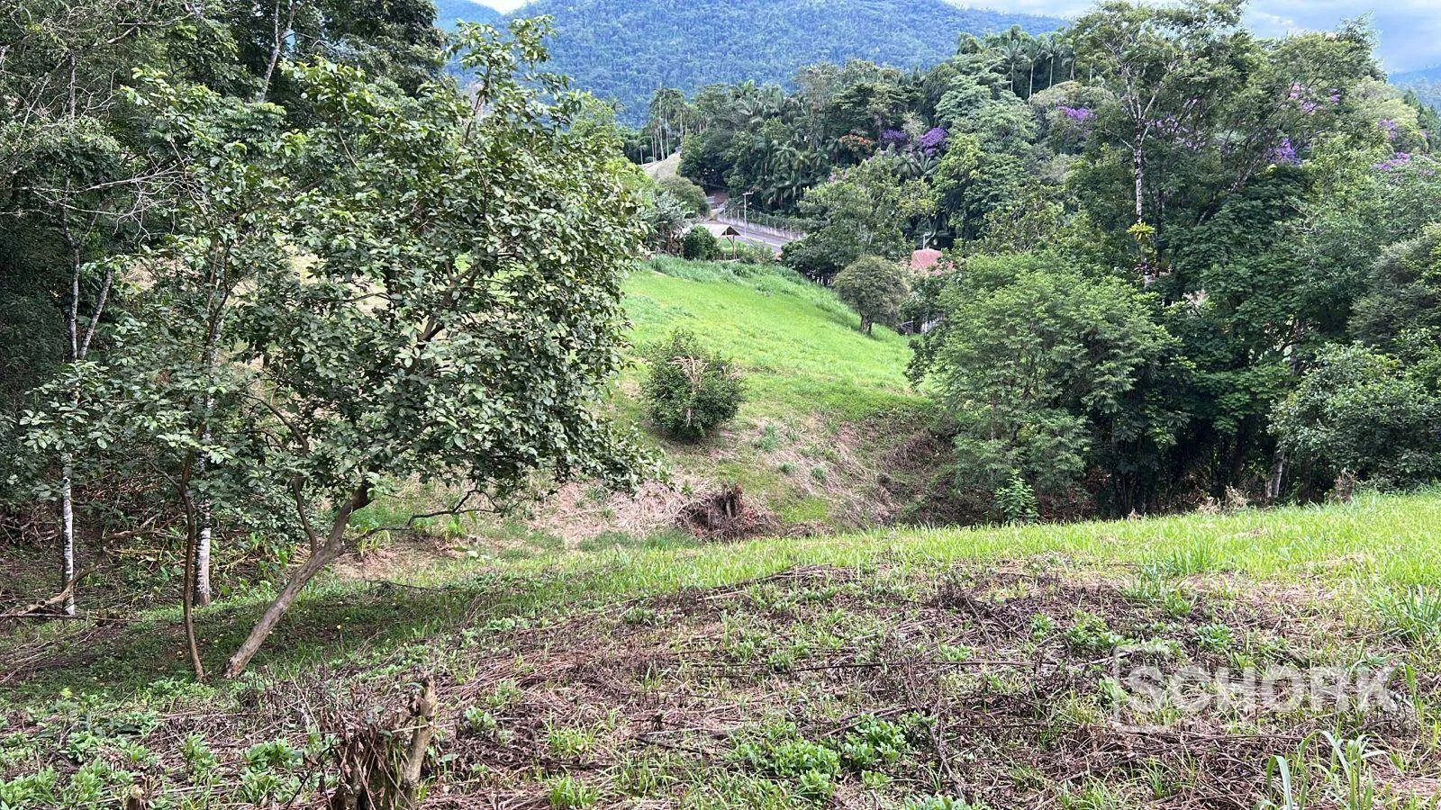 Terreno à venda, 9035 m por R$ 1.800.000,00 - Wunderwald - Pomerode/SC — foto 2