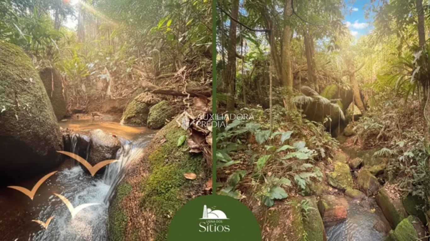 Imóvel — foto 4