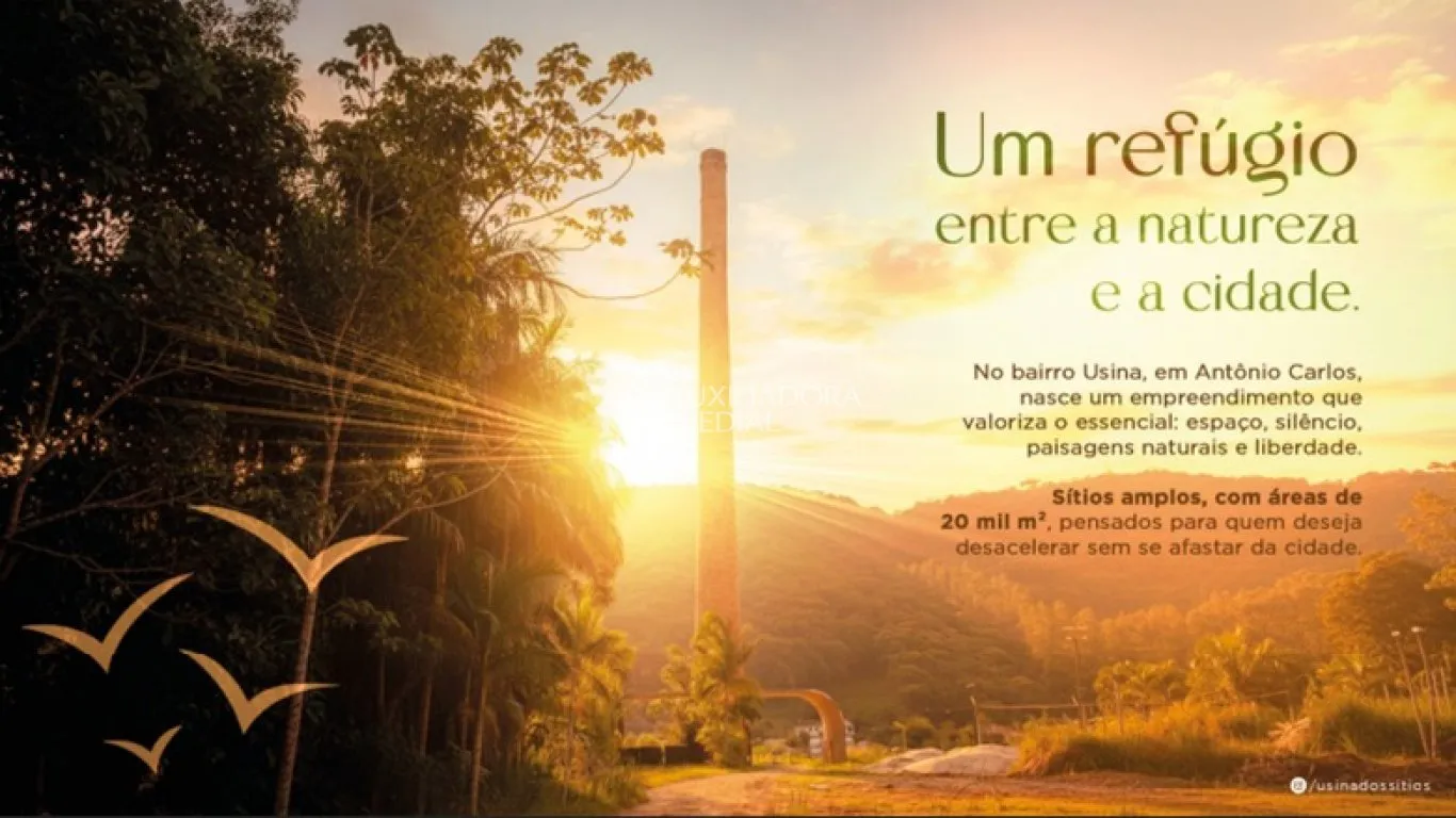 Imóvel — foto 7