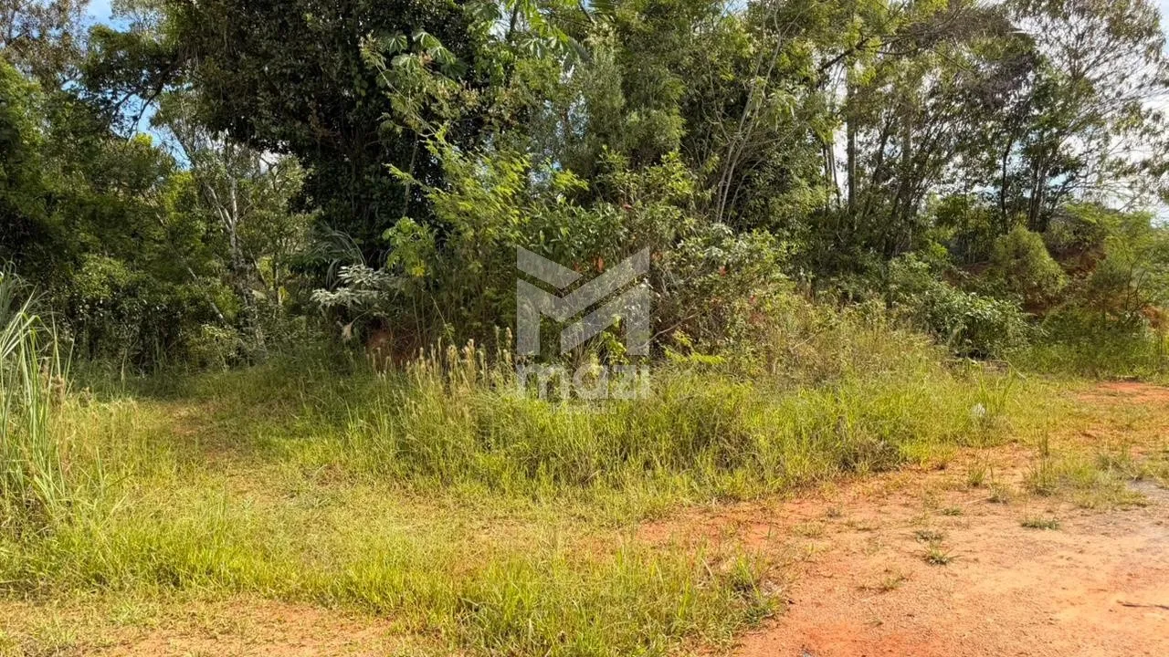 TERRENO, BAIRRO RIO MORTO - foto 1