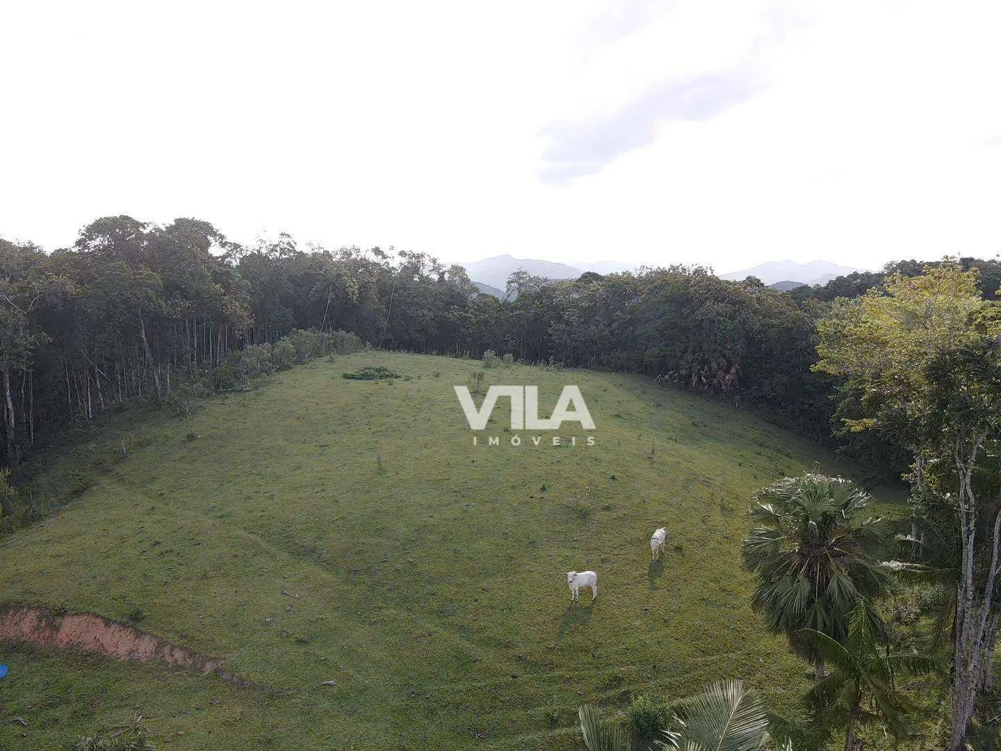 Sítio Exclusivo com 96.000 m - Privacidade, Natureza e Qualidade de Vida a poucos minutos da cidad — foto 5