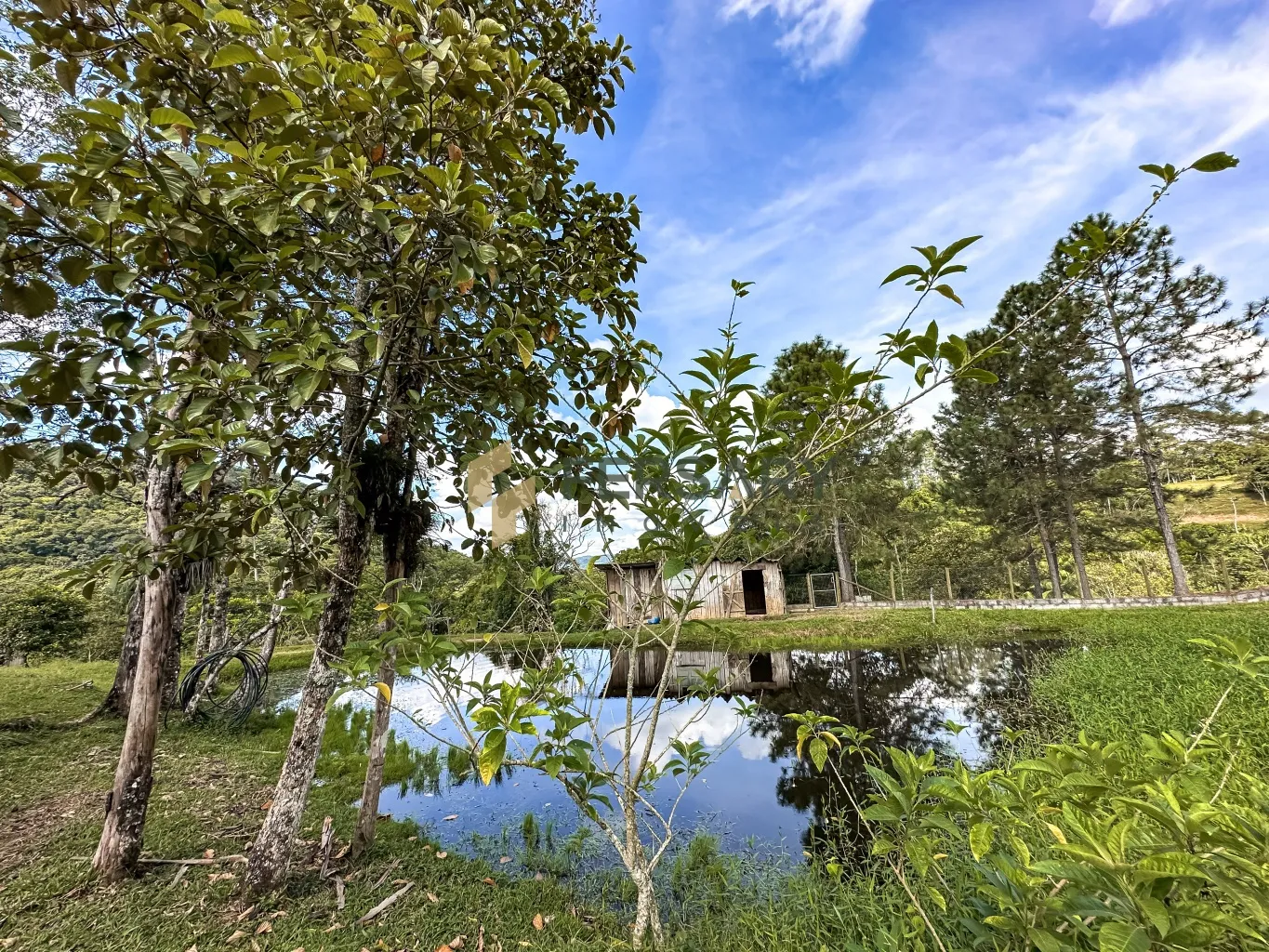 Sítio com 101.650,26m contendo Lagoas, Rancho e 02 Casas — foto 5