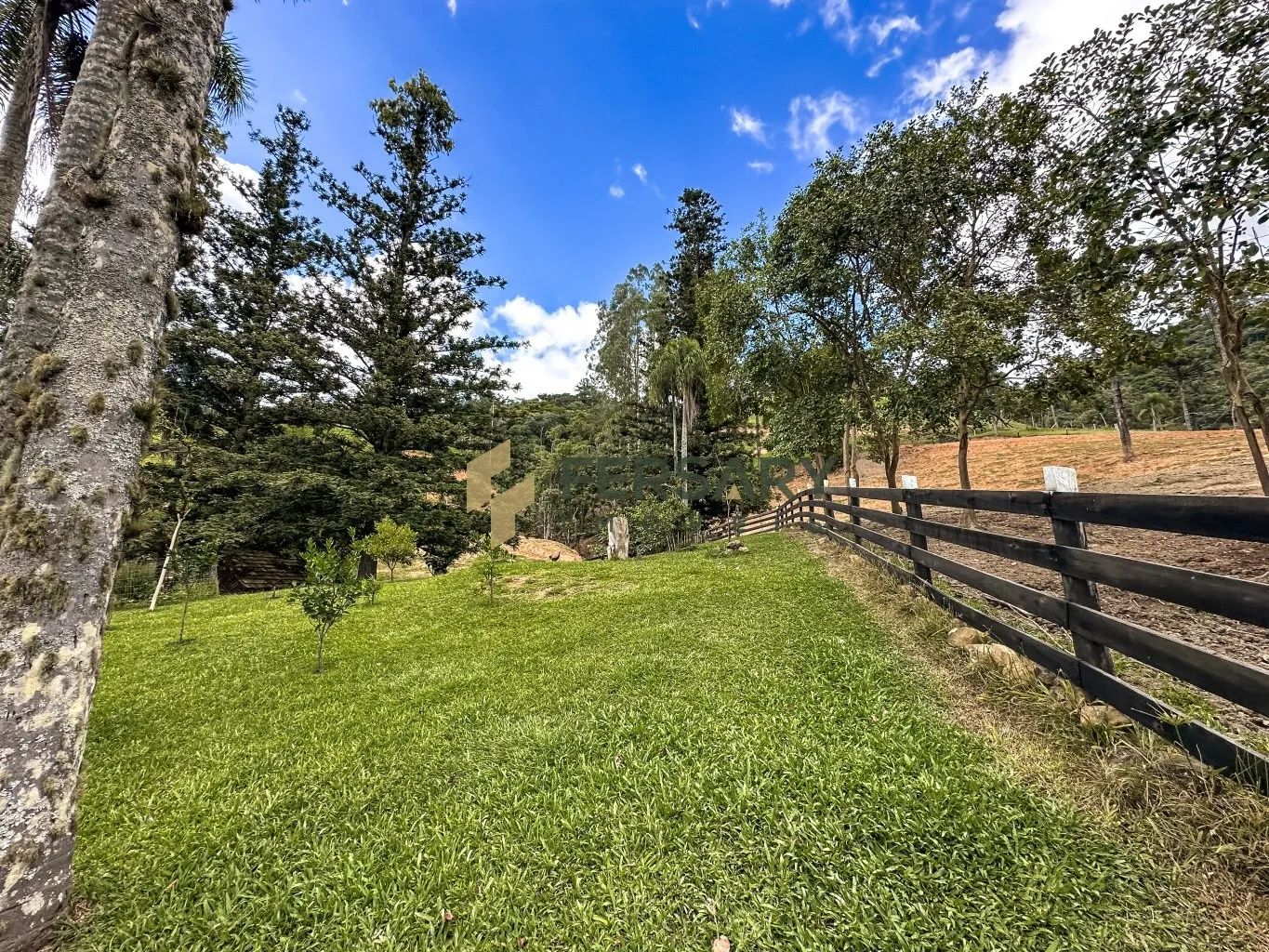 Fazenda com 530.000m contendo um lindo ribeirão de água cristalina e duas cachoeiras. — foto 4
