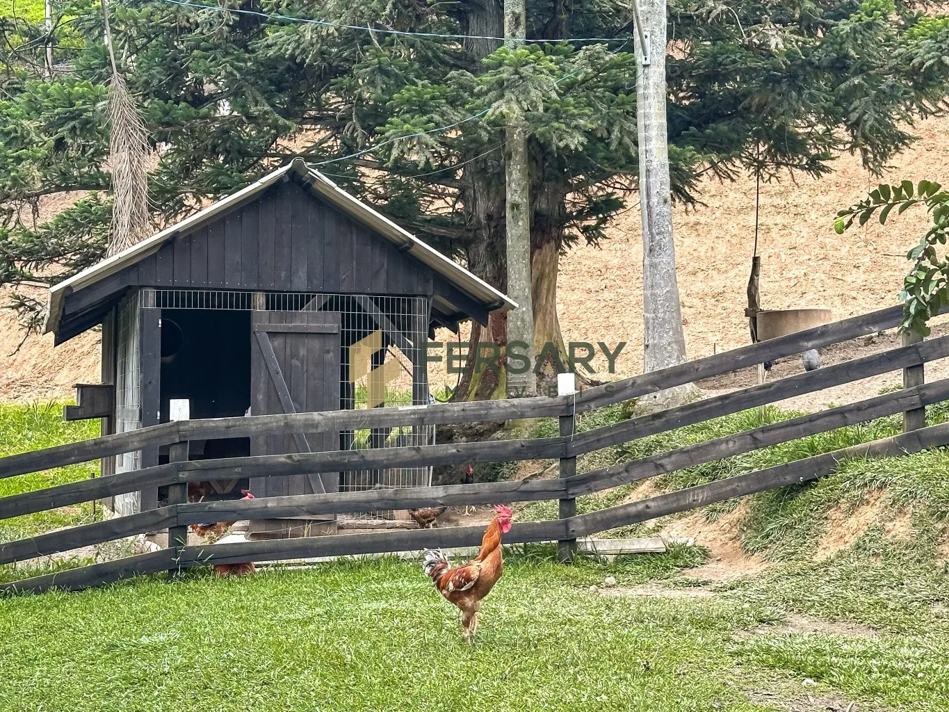 Fazenda com 530.000m contendo um lindo ribeirão de água cristalina e duas cachoeiras. — foto 5